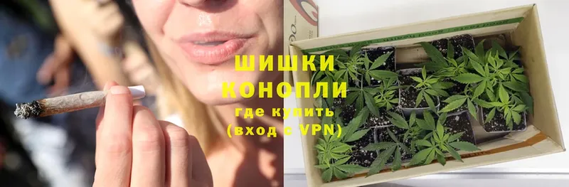 Бошки марихуана Ganja  Раменское 